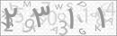 کد 4 رقمی تصویر را صحیح وارد کنید
