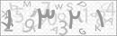 کد 4 رقمی تصویر را صحیح وارد کنید
