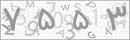 کد 4 رقمی تصویر را صحیح وارد کنید